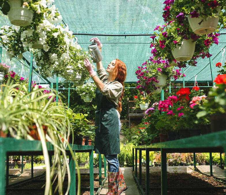 Gartencenter Pötschke – Weihnachtsmarkt