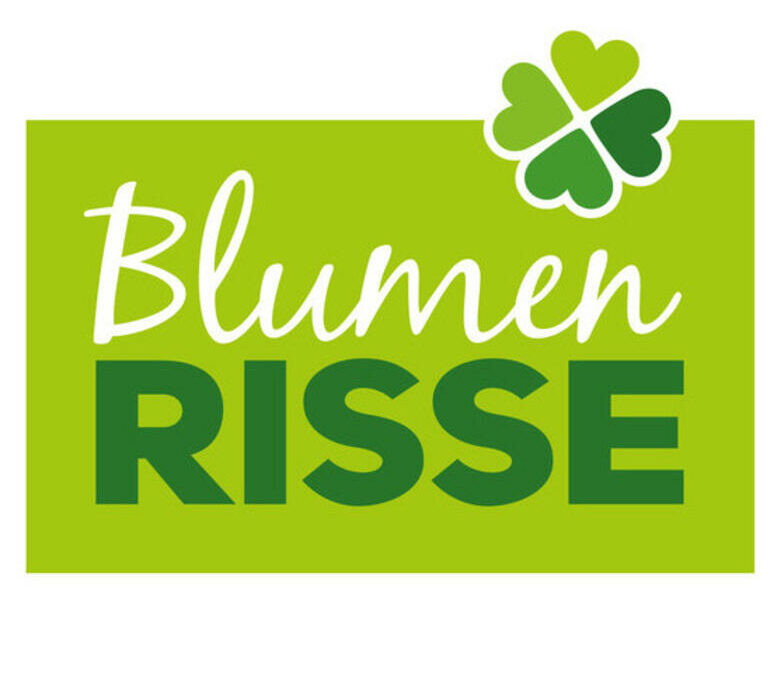Blumen Risse